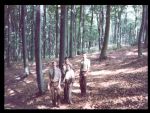 dnia 4 sierpnia 1992 r. dokonano komisyjnego zakwalifikowania drzewostanów bukowych jako gospodarcze drzewostany nasienne